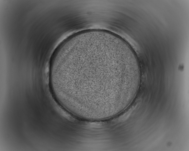 X0000102461126200808221613