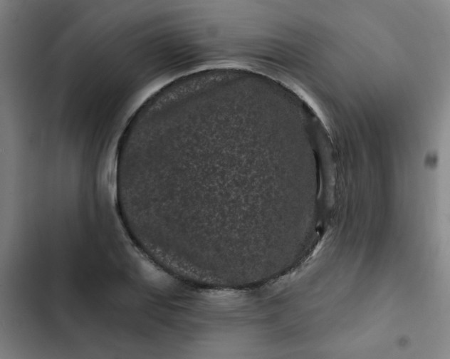 X0000102461127200808221613