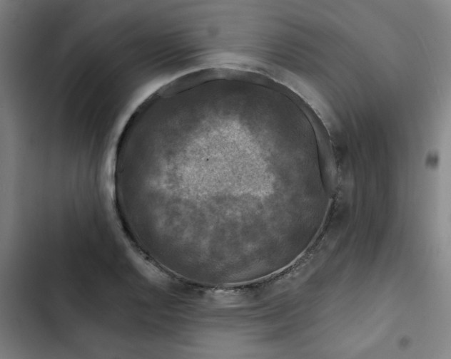 X0000102461128200808221613