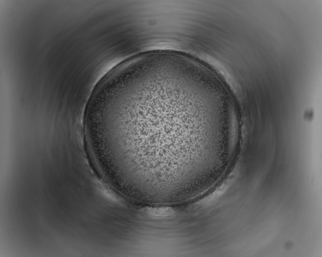 X0000102461129200808221613