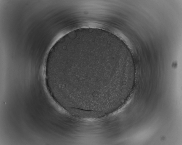 X0000102461130200808221613