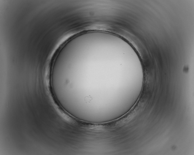 X0000102461131200808221613