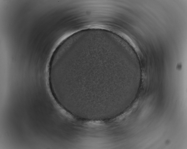 X0000102461133200808221613