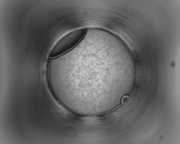 X0000102461134200808221613