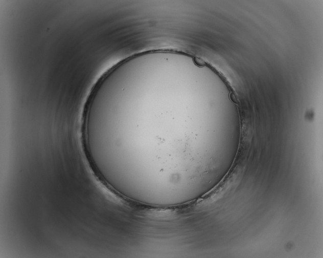 X0000102461135200808221613