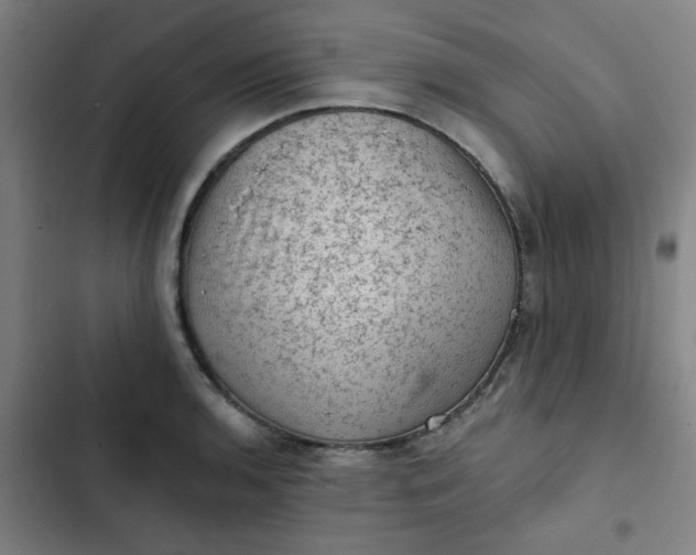 X0000102461136200808221613