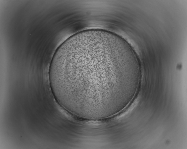 X0000102461137200808221613