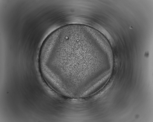 X0000102461138200808221613