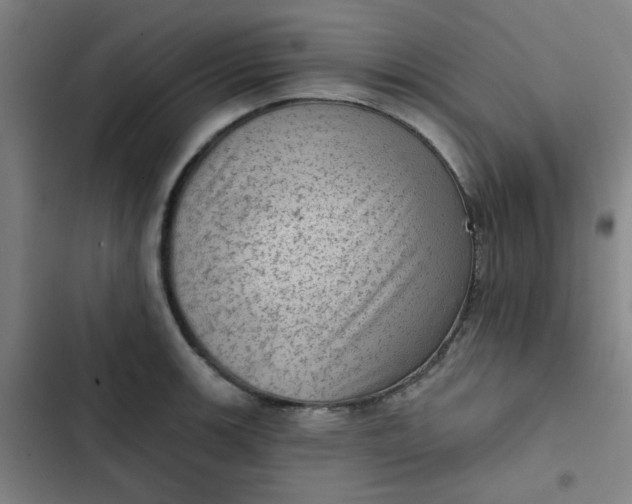 X0000102461139200808221613