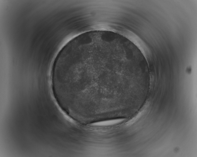 X0000102461141200808221613