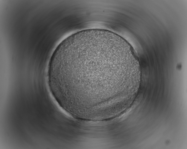 X0000102461142200808221613