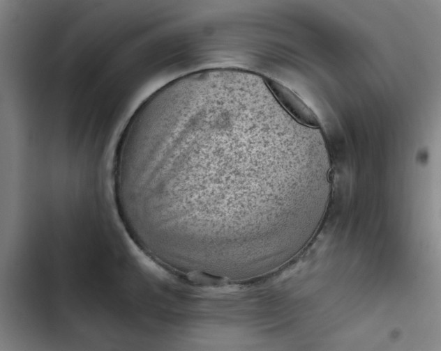 X0000102461143200808221613