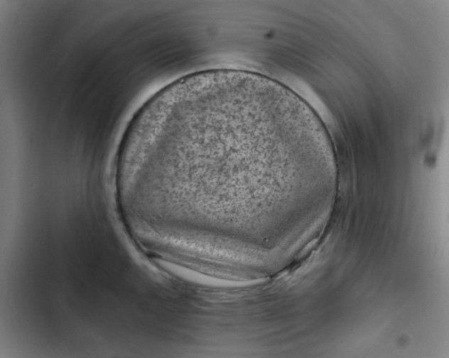 X0000102461144200808221613