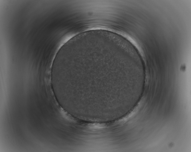 X0000102461145200808221613