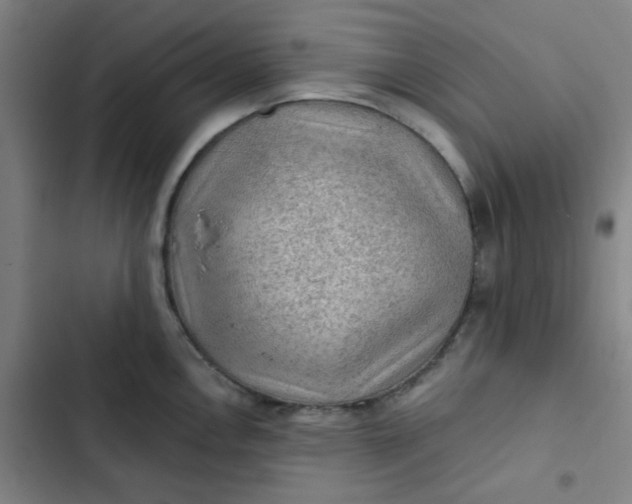 X0000102461146200808221613