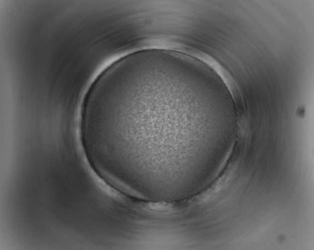 X0000102461147200808221613