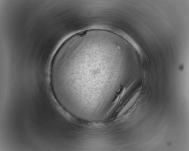 X0000102461148200808221613