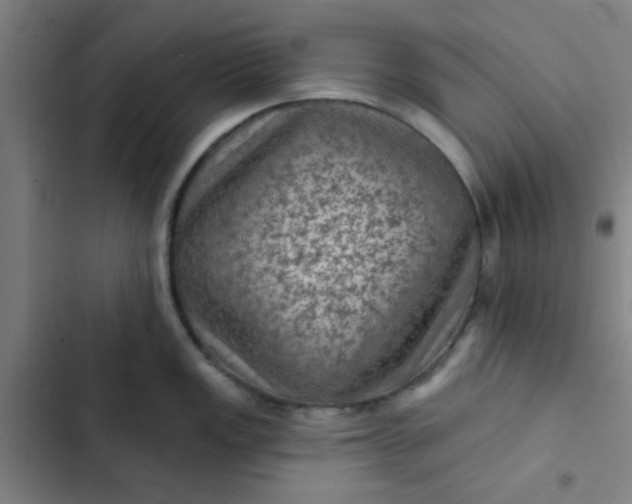 X0000102461149200808221613