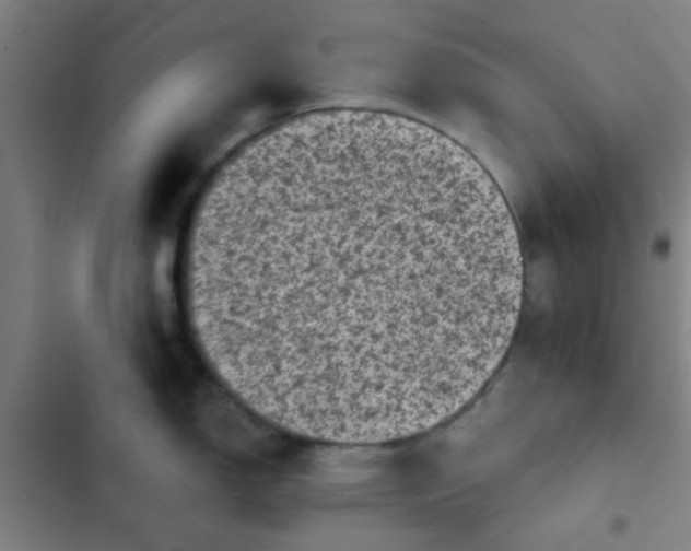 X0000102461150200808221613