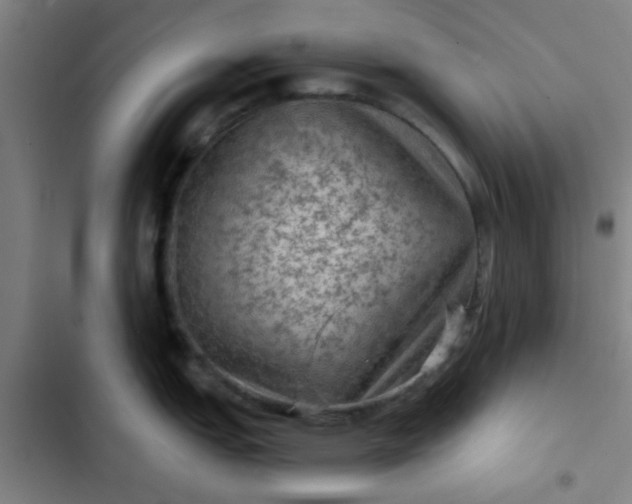 X0000102461151200808221613