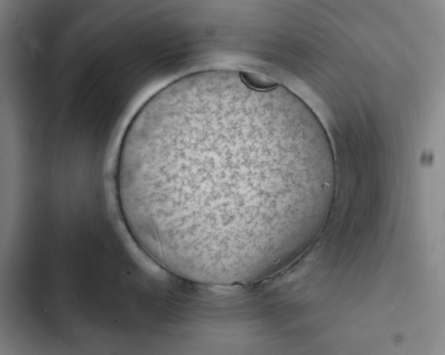 X0000102461152200808221613