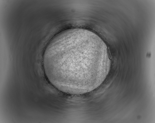 X0000102461153200808221612