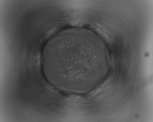 X0000102461154200808221612