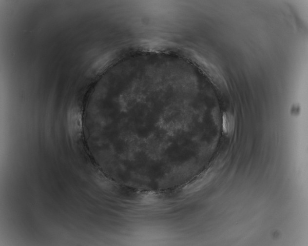 X0000102461155200808221612