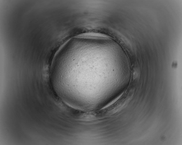 X0000102461156200808221612