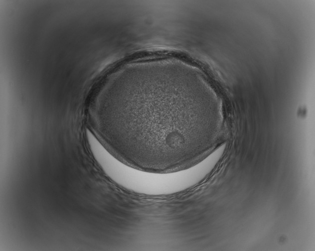 X0000102461157200808221612