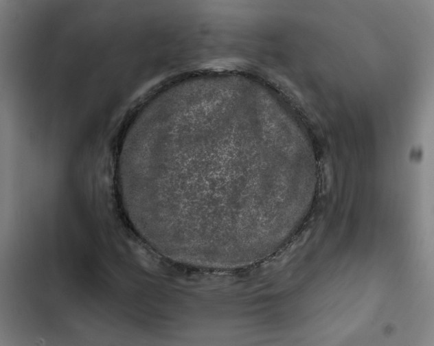 X0000102461158200808221612