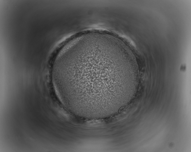 X0000102461159200808221612