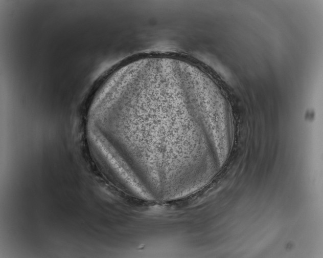 X0000102461160200808221612