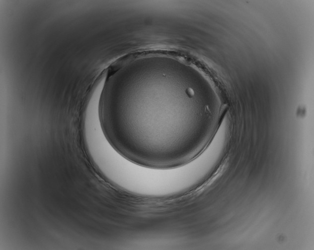 X0000102461161200808221612