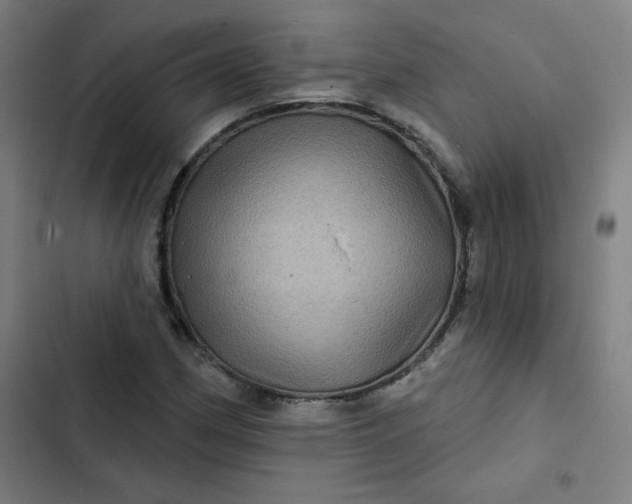 X0000102461162200808221612