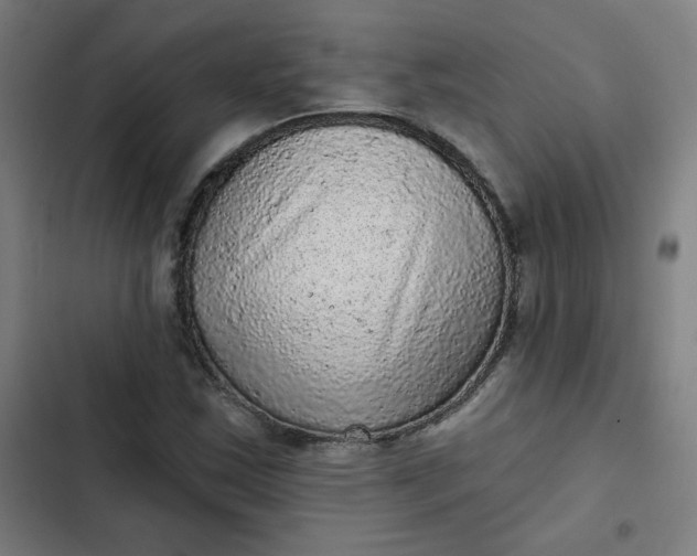 X0000102461163200808221612