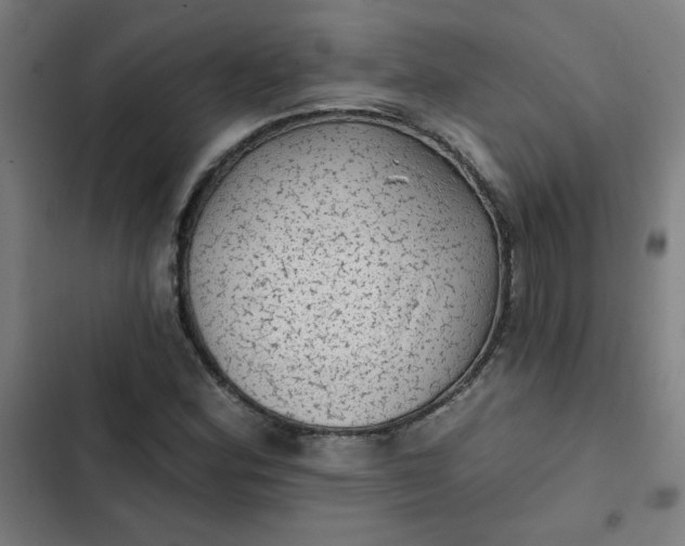 X0000102461164200808221612