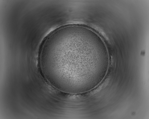 X0000102461165200808221612