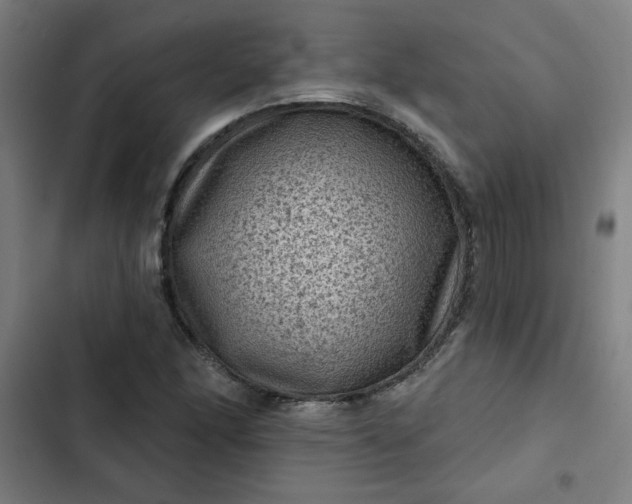 X0000102461166200808221612