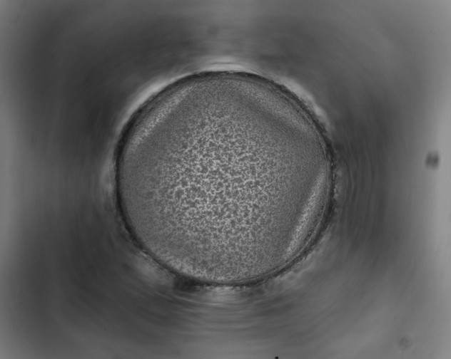 X0000102461167200808221612