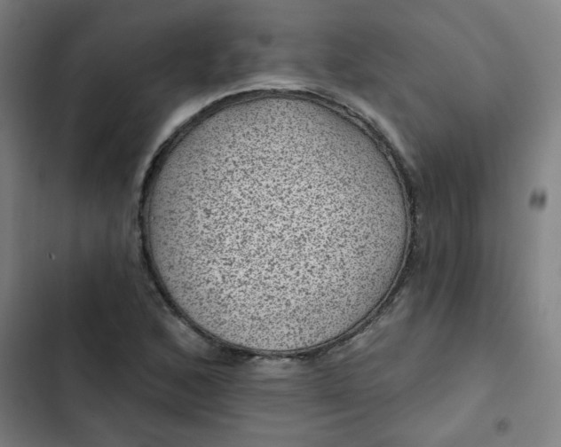 X0000102461168200808221612