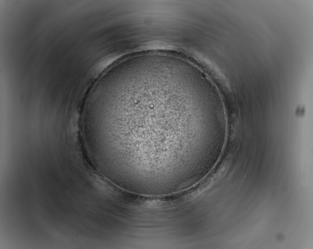 X0000102461169200808221612