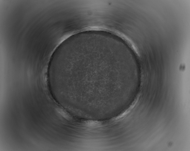 X0000102461170200808221612