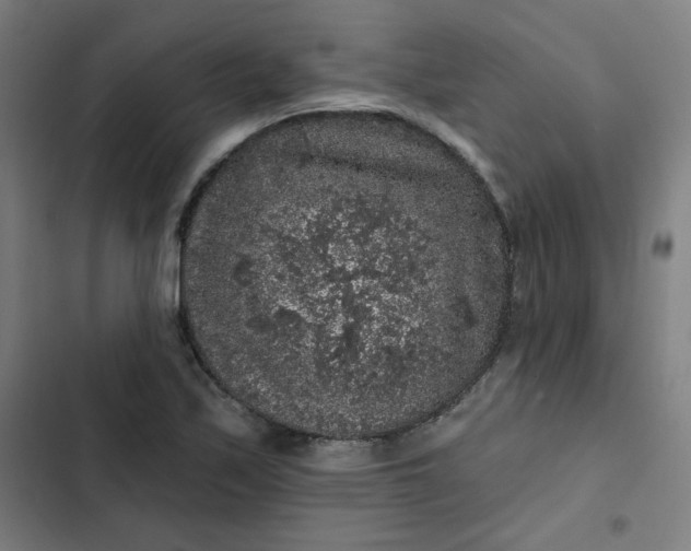 X0000102461171200808221612