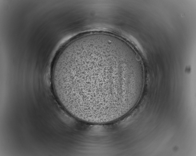 X0000102461172200808221612