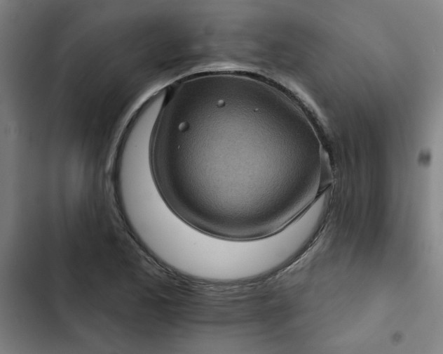 X0000102461173200808221612