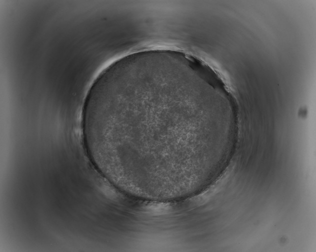 X0000102461174200808221612