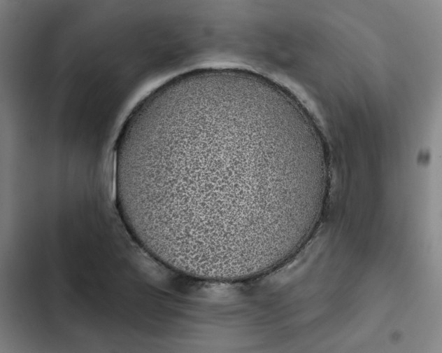 X0000102461175200808221612