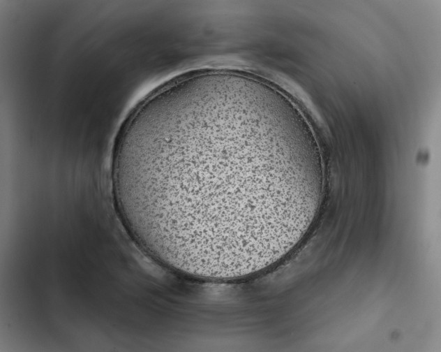 X0000102461176200808221612