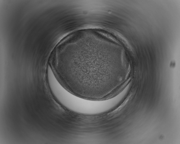 X0000102461177200808221612